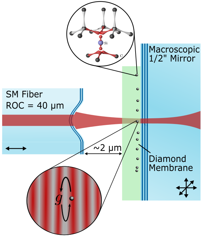 Microcavtiy with membrane